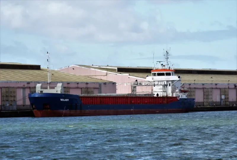 MILADY General Cargo IMO 9319430 photo 7