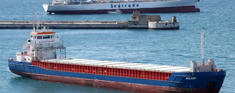 MILADY General Cargo IMO 9319430 photo 10
