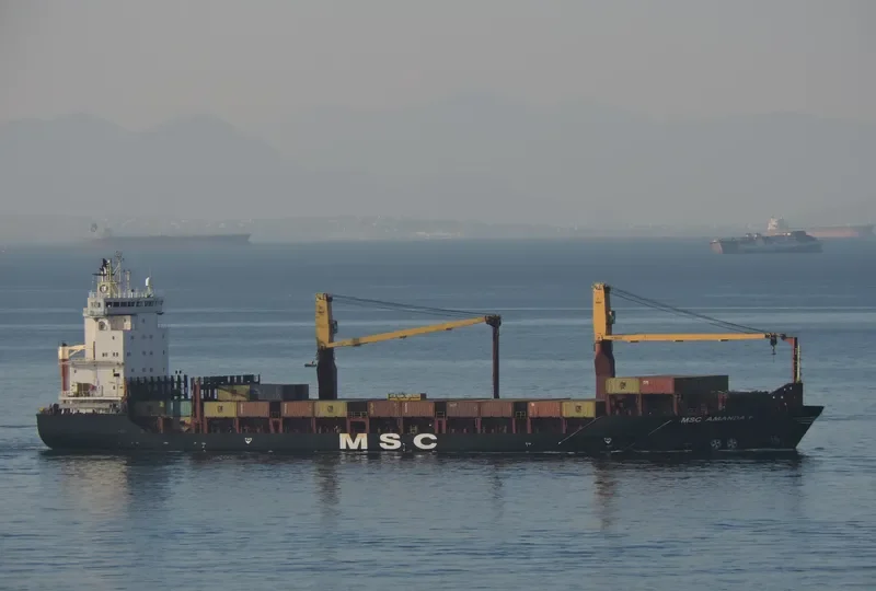 MSC AMANDA F Container Ship IMO 9319600 photo 2