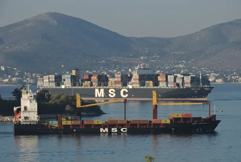 MSC AMANDA F Container Ship IMO 9319600 photo 3