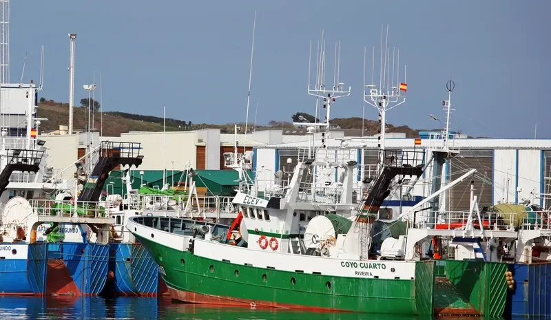 COYO CUARTO General Cargo IMO 9319777 photo 2