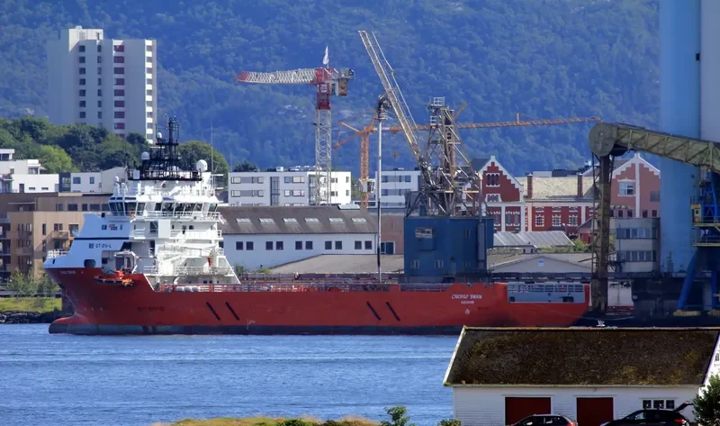 ENERGY SWAN Offshore Vessel IMO 9319985 photo 7