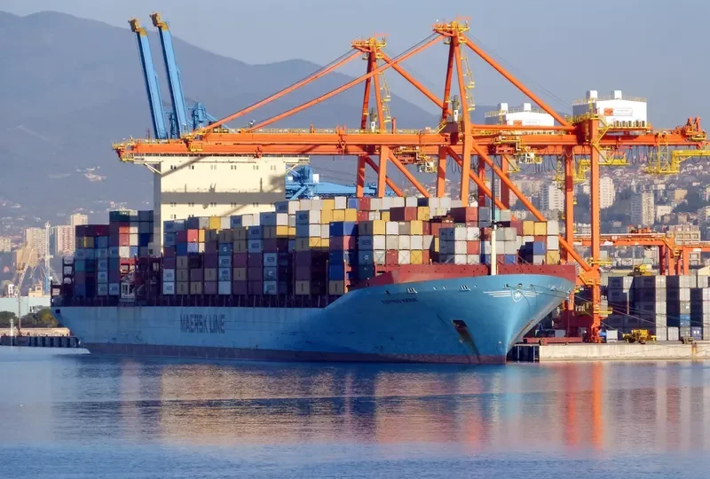 GJERTRUD MAERSK Container Ship IMO 9320233 photo 6