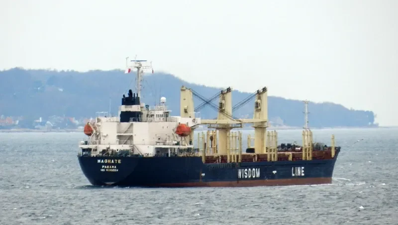 MAGNATE Bulk Carrier IMO 9320269 photo 3