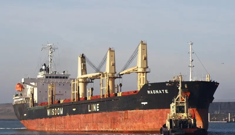 MAGNATE Bulk Carrier IMO 9320269 photo 8
