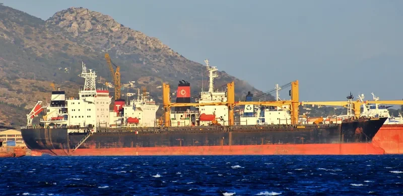 SAMUDRA SAKTI III Bulk Carrier IMO 9320295 photo 2