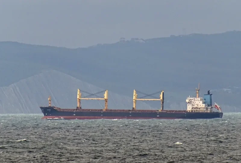 SAMUDRA SAKTI III Bulk Carrier IMO 9320295 photo 3