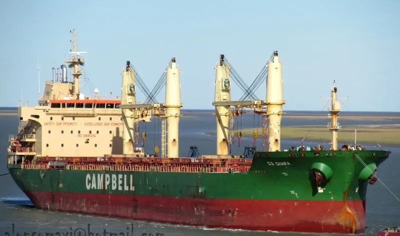 SAMUDRA SAKTI III Bulk Carrier IMO 9320295 photo 6