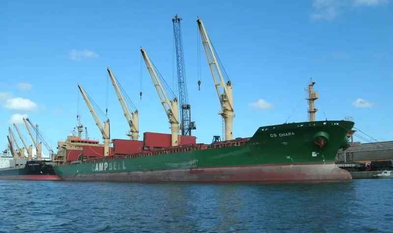 SAMUDRA SAKTI III Bulk Carrier IMO 9320295 photo 8