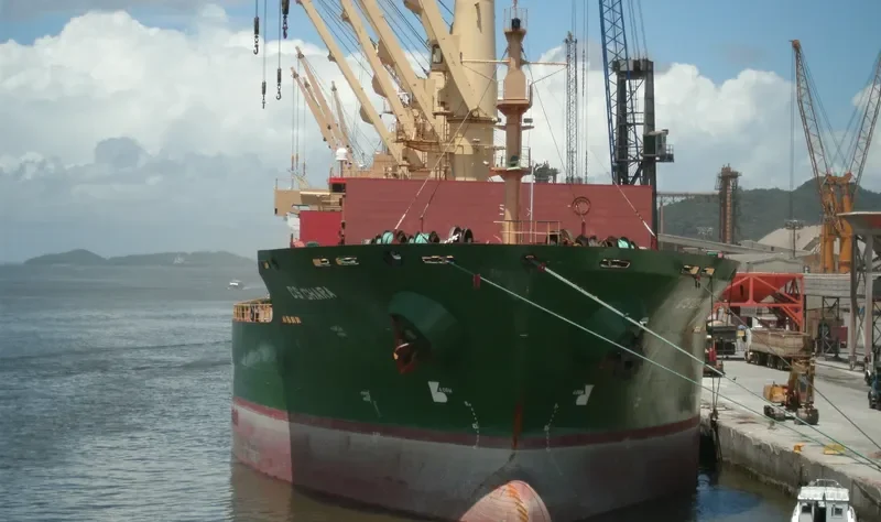 SAMUDRA SAKTI III Bulk Carrier IMO 9320295 photo 10