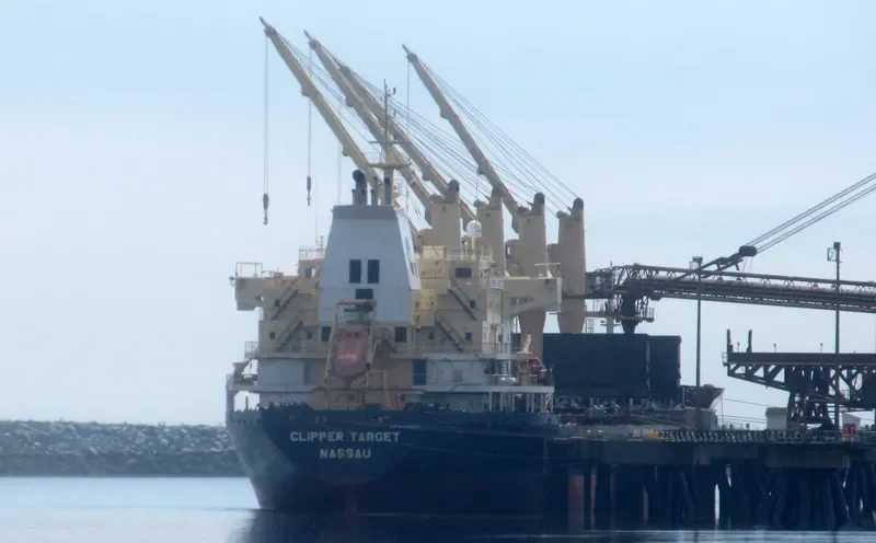 CLIPPER TARGET Bulk Carrier IMO 9320300 photo 8