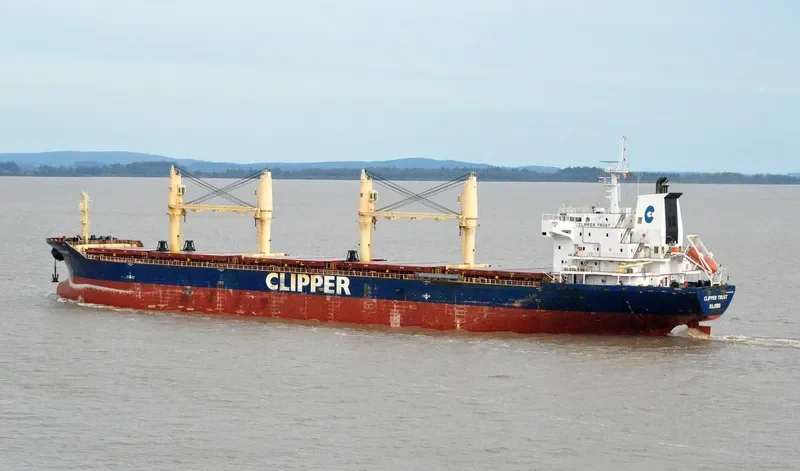VIET THUAN 30 02 Bulk Carrier IMO 9320312 photo 5