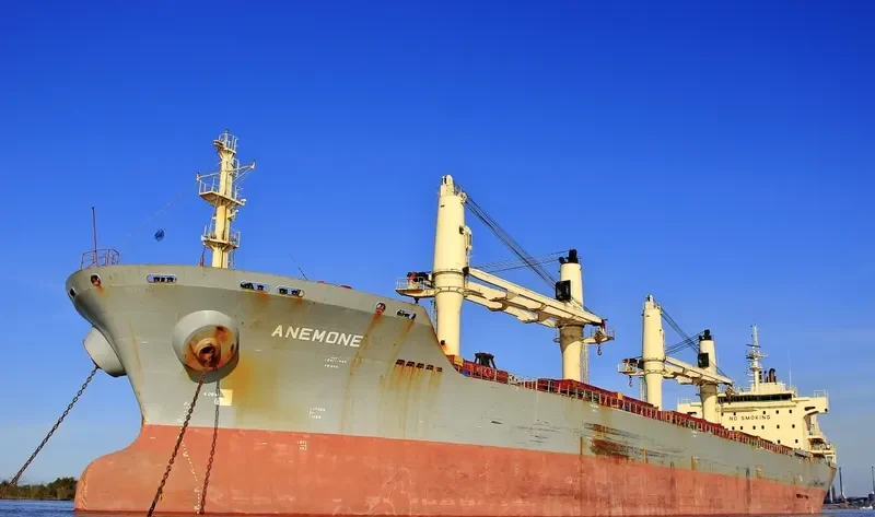 ANEMONE Bulk Carrier IMO 9320324 photo 3