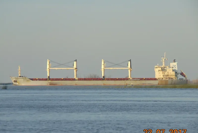ANEMONE Bulk Carrier IMO 9320324 photo 5