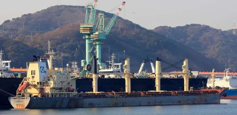 ANEMONE Bulk Carrier IMO 9320324 photo 6