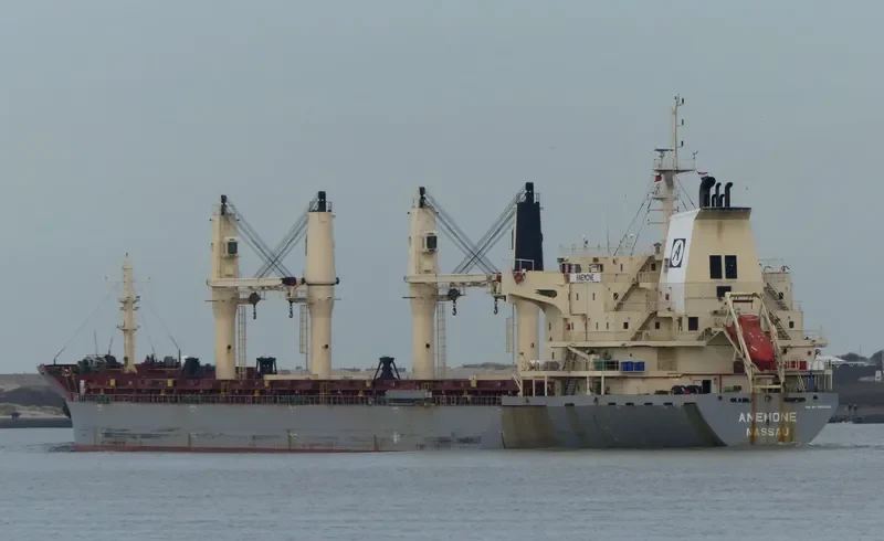 ANEMONE Bulk Carrier IMO 9320324 photo 8