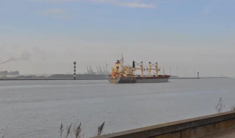 ANEMONE Bulk Carrier IMO 9320324 photo 10