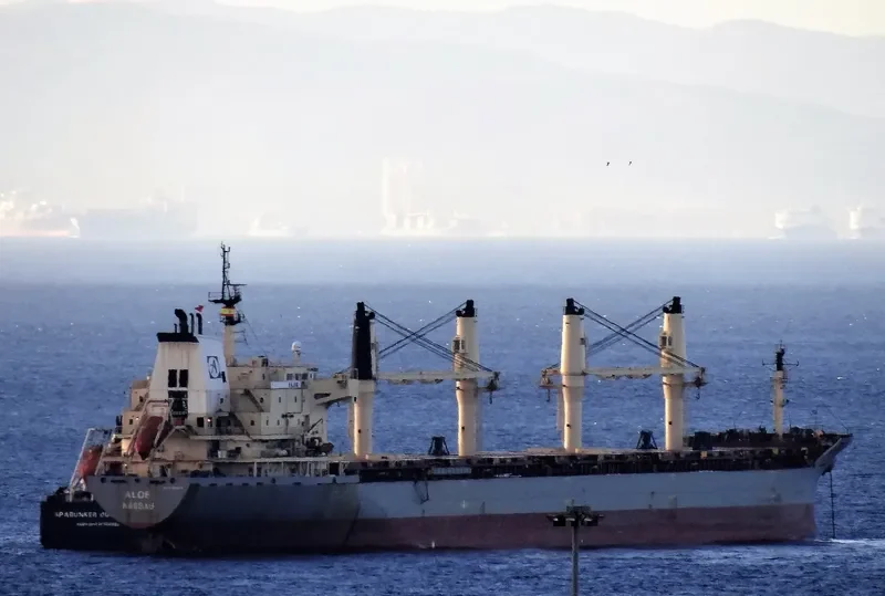 ATHOS Bulk Carrier IMO 9320336 photo 4