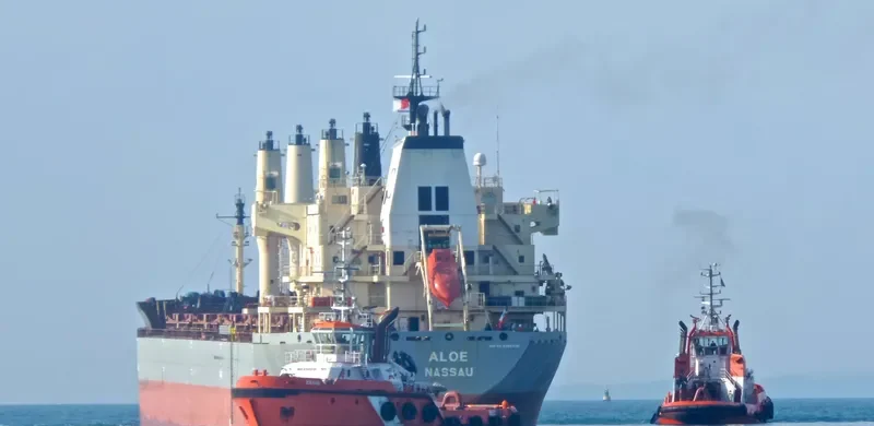 ATHOS Bulk Carrier IMO 9320336 photo 8