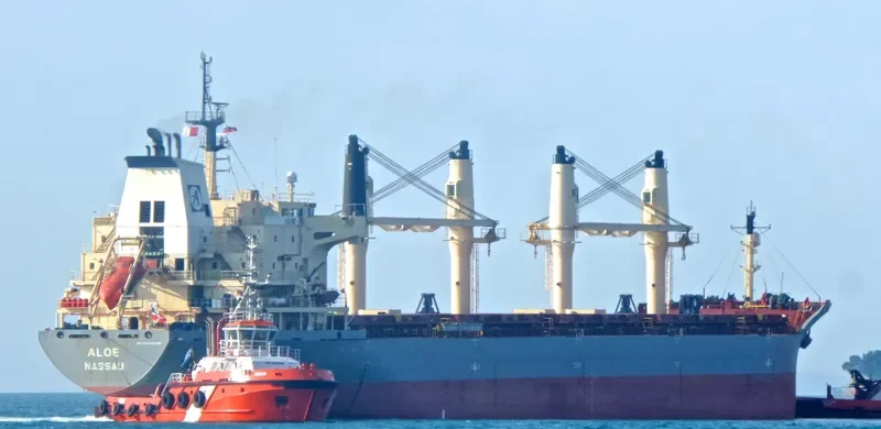 ATHOS Bulk Carrier IMO 9320336 photo 9