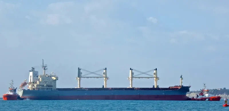 ATHOS Bulk Carrier IMO 9320336 photo 10