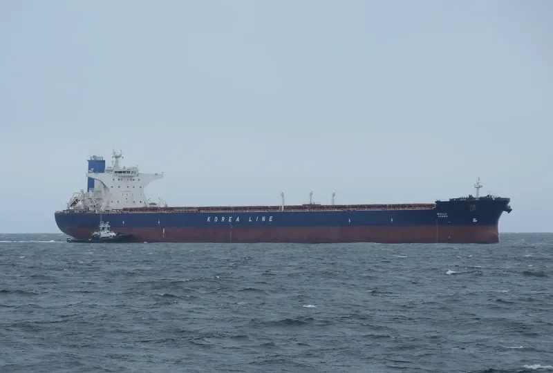 ADONIS Bulk Carrier IMO 9320362 photo 3