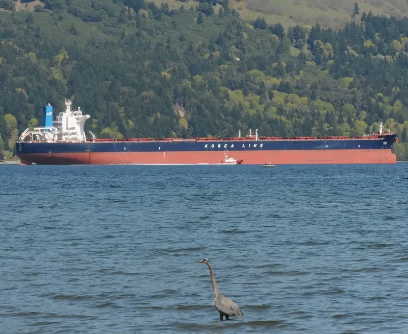 ADONIS Bulk Carrier IMO 9320362 photo 8