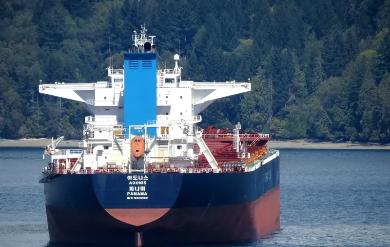 ADONIS Bulk Carrier IMO 9320362 photo 10