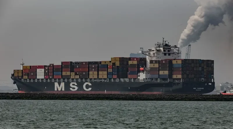 MSC CAROUGE Container Ship IMO 9320441 photo 4