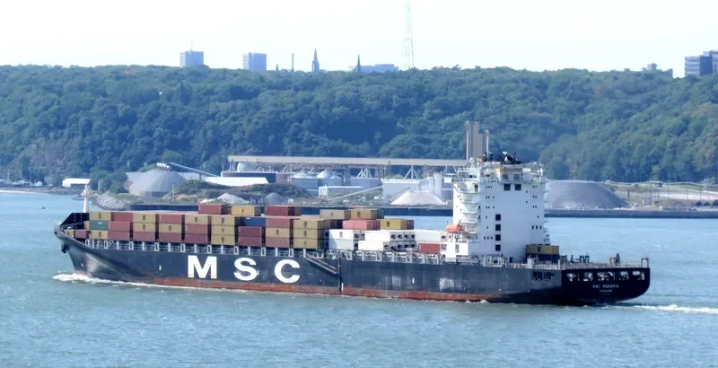 MSC ROSARIA Container Ship IMO 9320453 photo 2