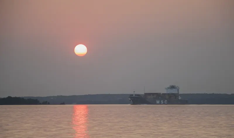 MSC ROSARIA Container Ship IMO 9320453 photo 3