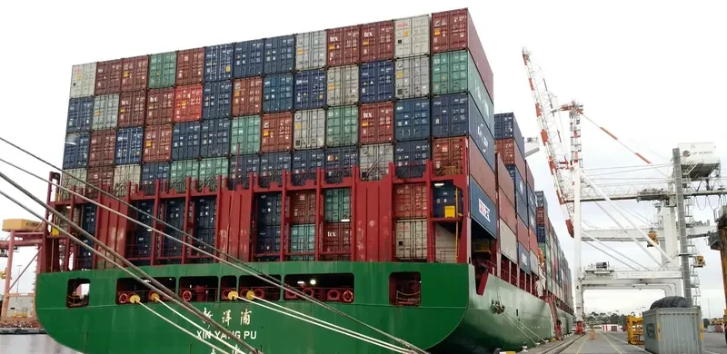 XIN YANG PU Container Ship IMO 9320477 photo 2