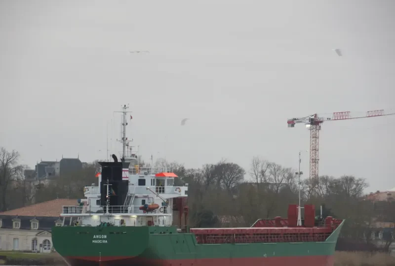 ANGON General Cargo IMO 9320635 photo 5