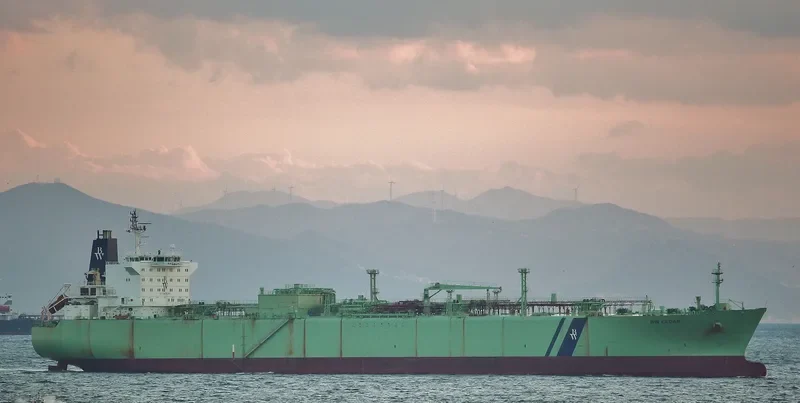 BW CEDAR General Cargo IMO 9320738
