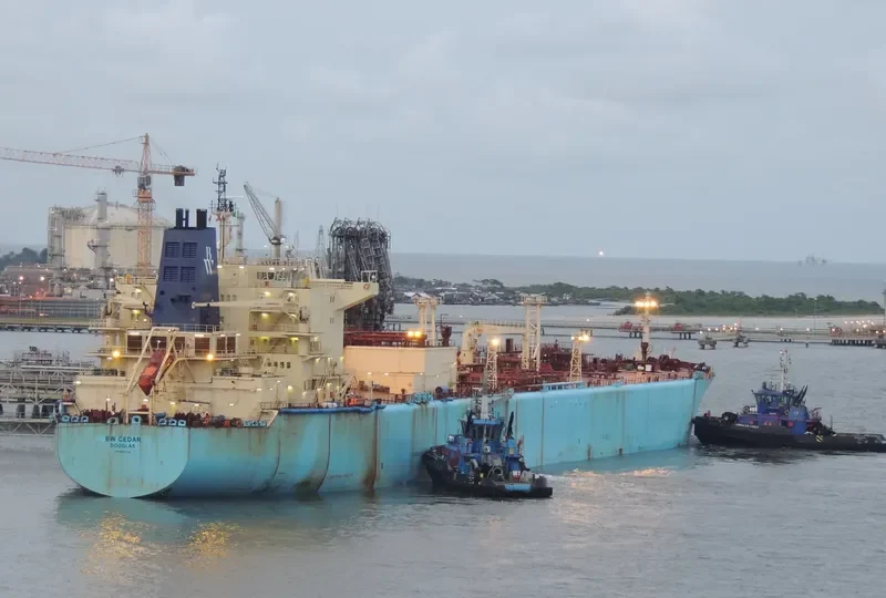 BW CEDAR General Cargo IMO 9320738 photo 2