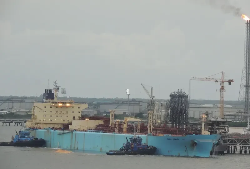 BW CEDAR General Cargo IMO 9320738 photo 3