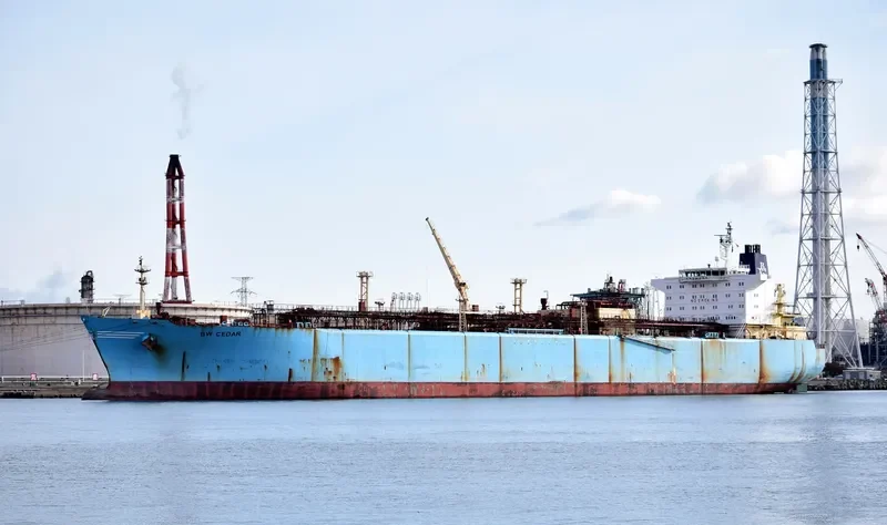 BW CEDAR General Cargo IMO 9320738 photo 4
