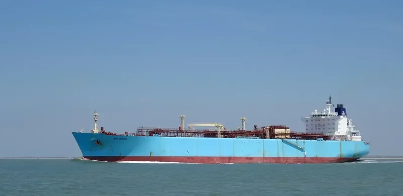 BW BIRCH General Cargo IMO 9320740 photo 10