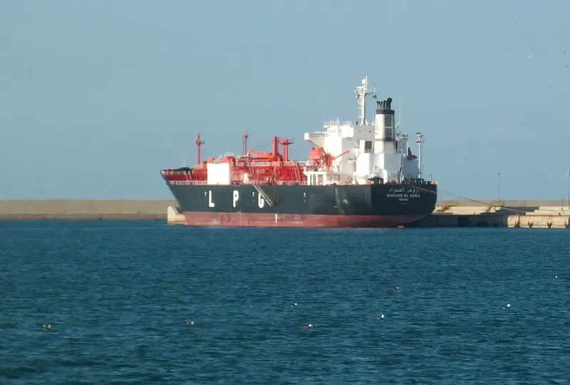RHOURD EL ADRA General Cargo IMO 9320855 photo 10