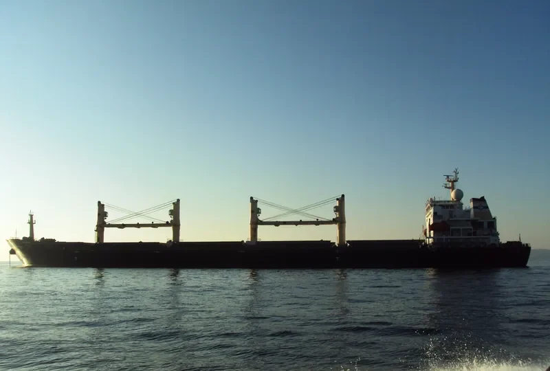DESERT SYMPHONY Bulk Carrier IMO 9320996 photo 3