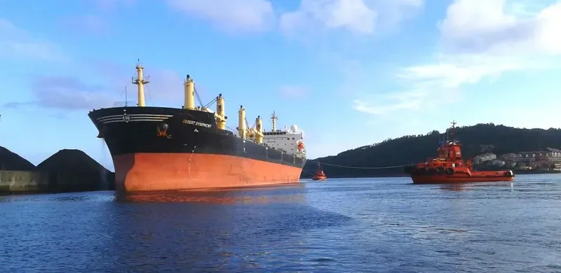 DESERT SYMPHONY Bulk Carrier IMO 9320996 photo 4