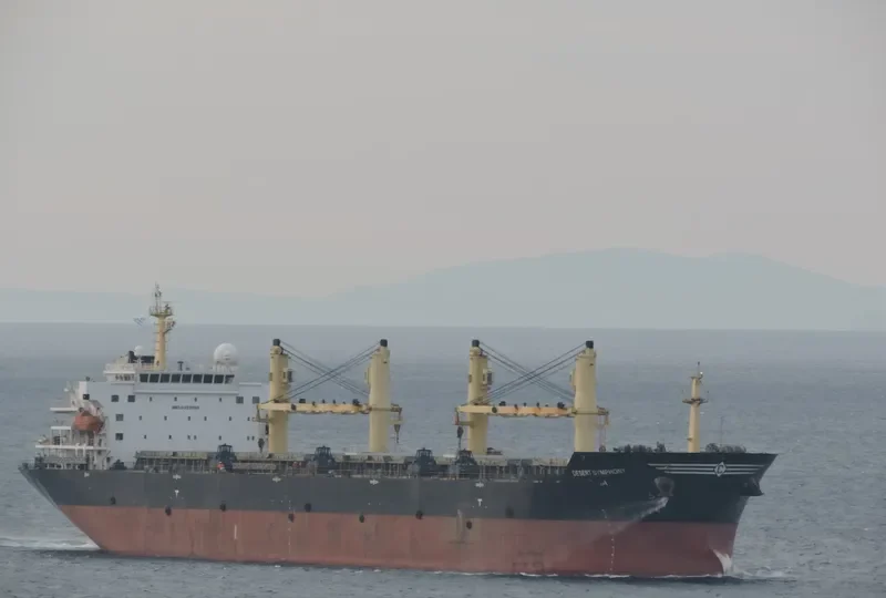 DESERT SYMPHONY Bulk Carrier IMO 9320996 photo 5