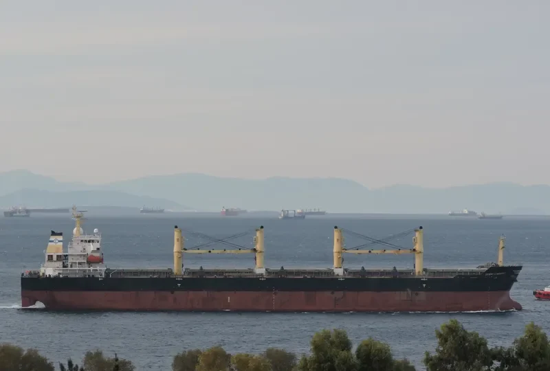 DESERT SYMPHONY Bulk Carrier IMO 9320996 photo 6
