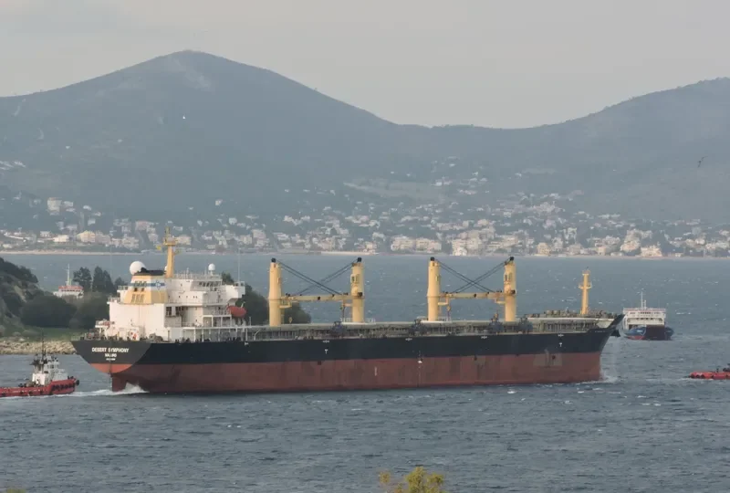 DESERT SYMPHONY Bulk Carrier IMO 9320996 photo 7
