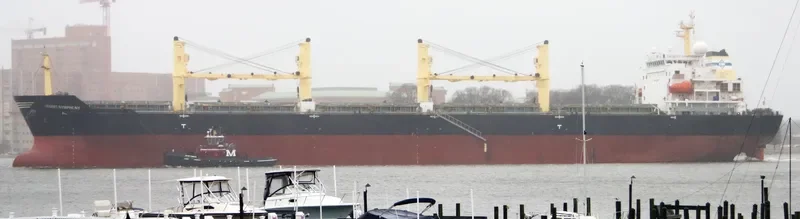DESERT SYMPHONY Bulk Carrier IMO 9320996 photo 10