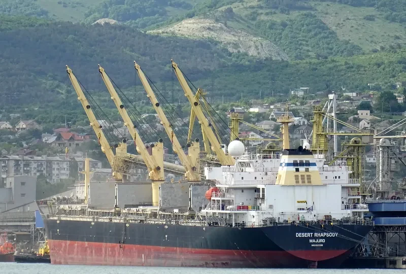 DESERT RHAPSODY Bulk Carrier IMO 9321005