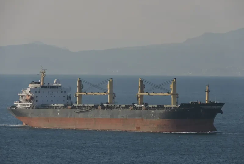 DESERT RHAPSODY Bulk Carrier IMO 9321005 photo 4