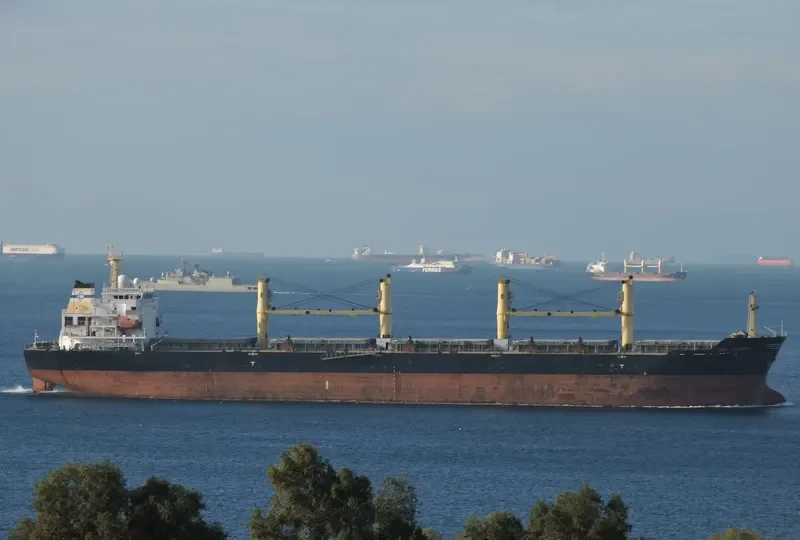 DESERT RHAPSODY Bulk Carrier IMO 9321005 photo 5