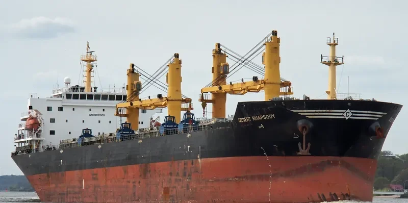 DESERT RHAPSODY Bulk Carrier IMO 9321005 photo 10