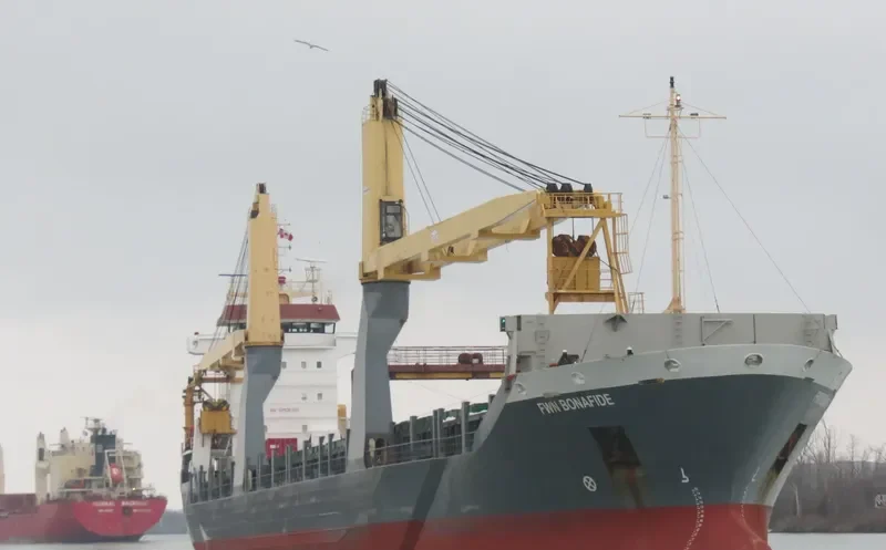 FWN BONAFIDE General Cargo IMO 9321108 photo 10